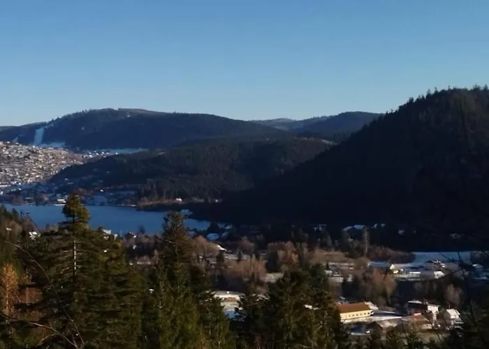 Cocooning Chez Corinne , Gerardmer