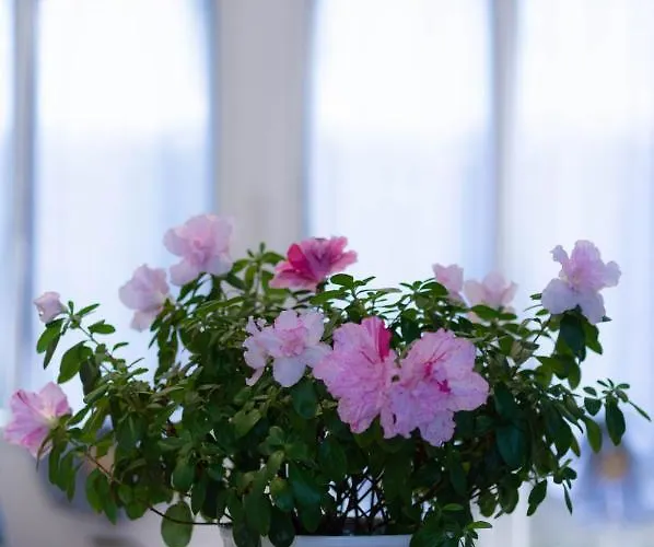 Cocooning Chez Corinne ,